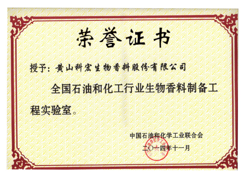 中國(guó)石油化工行業(yè)工程實(shí)驗(yàn)室